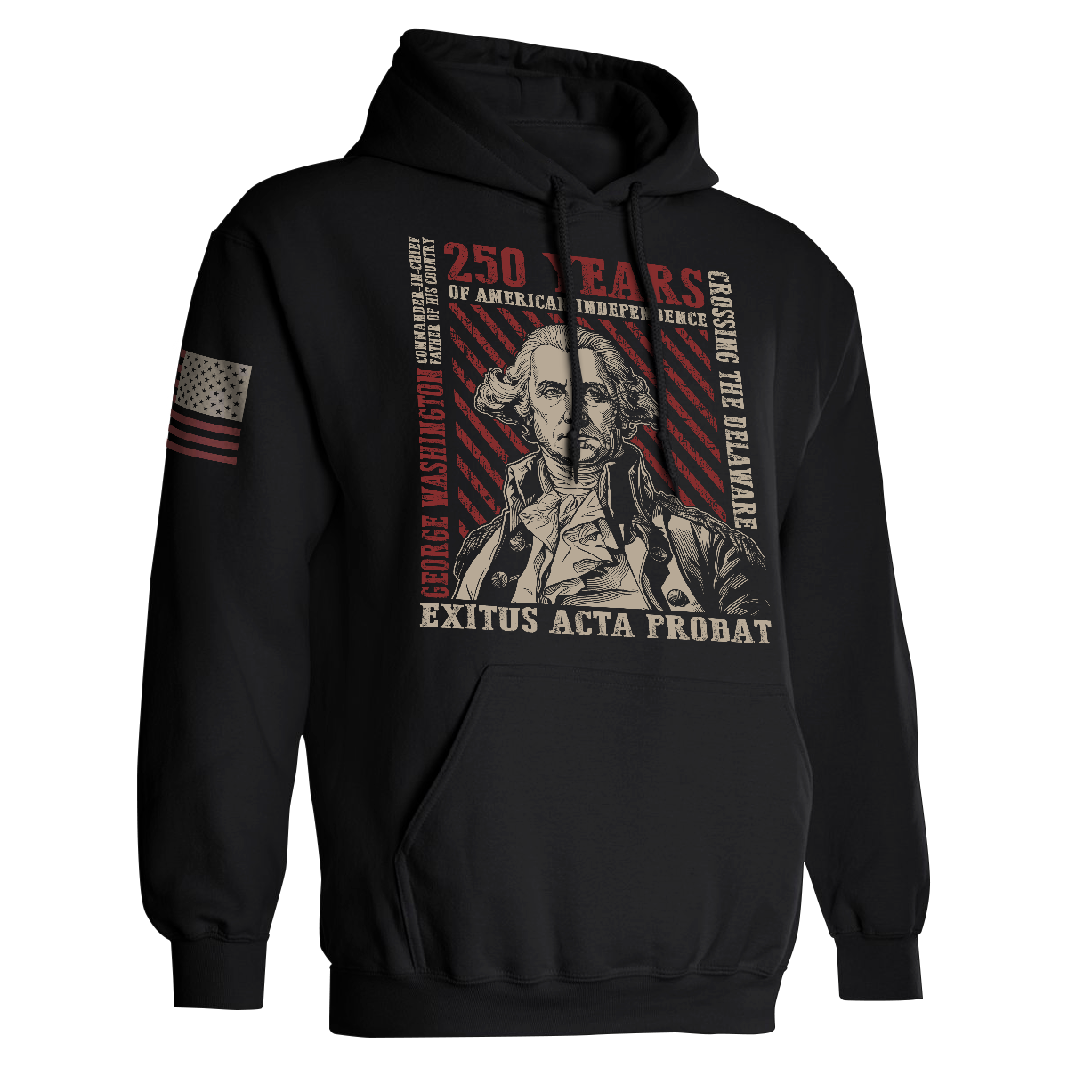 250 Years George Washington Hoodie